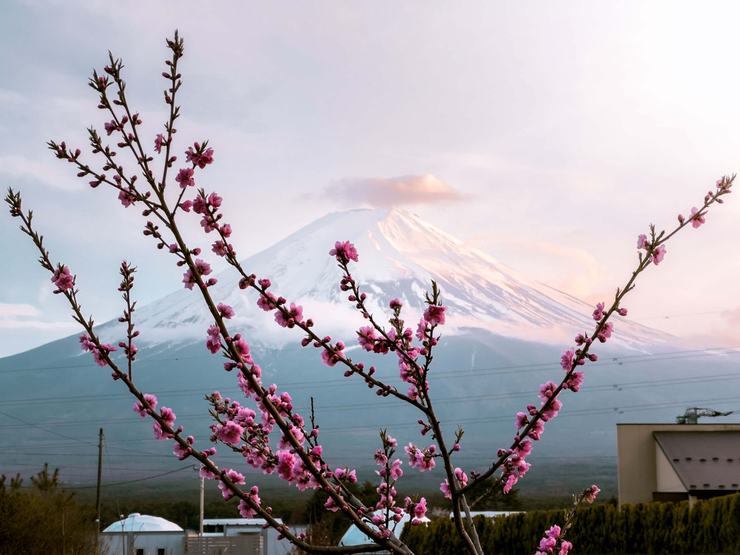 Mount Fuji Kawaguchiko Sonnenuntergang