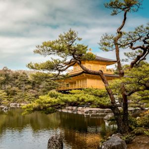 Kinkaku-ji Goldener Tempel in Kyoto