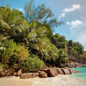 Afrika-Kreuzfahrt Seychellen Strand und Palmen