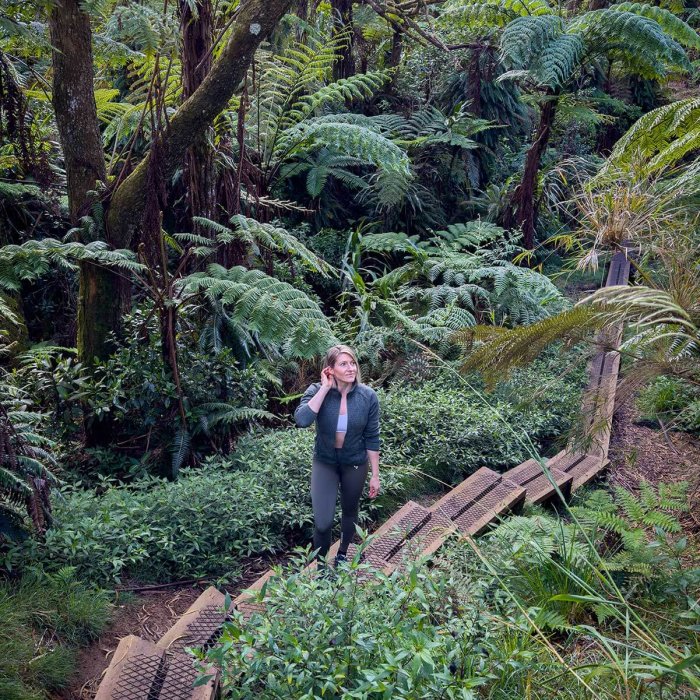 La Reunion Foret de Belouve