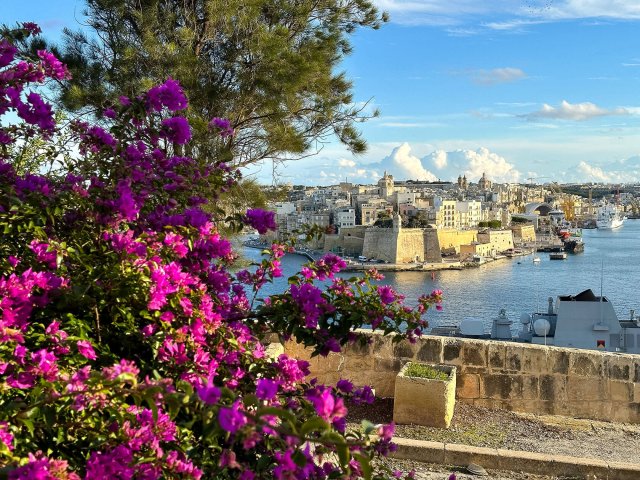 Valletta Malta Hafen Blumen
