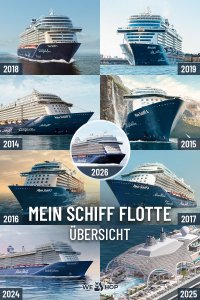 Pinterest Mein Schiff Flotte Übersicht und Vergleich