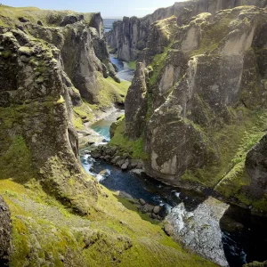 Fjaðrárgljúfur Canyon Island Südküste Rundreise