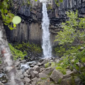 Svartifoss im Skaftafell Nationalpark