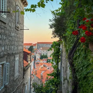 Dubrovnik Stadtblick und Begrünung