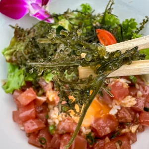 Poke Bowl auf Kouri Island